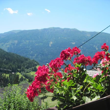 Chalet Catton Two Bedroom Appartement Near Bad Kleinkirchheim Radenthein Dış mekan fotoğraf
